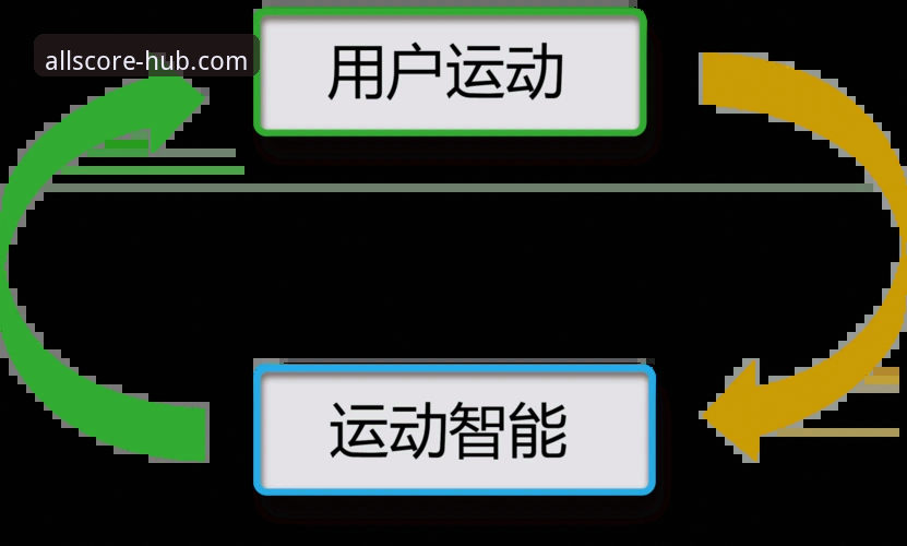 揭秘完美体育靠谱吗教程：你不知道的平台安全与用户体验真相